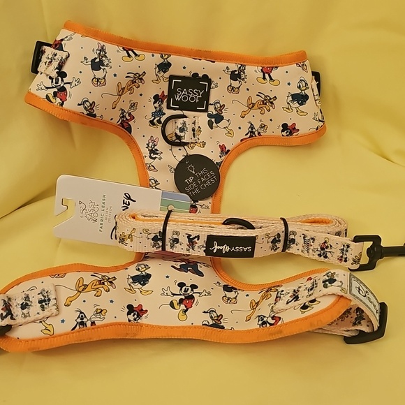 Sassy Wolf Other - Sassy Wolf Harness And Lease Disney. Size XL.